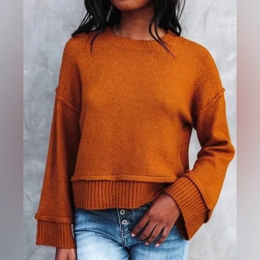 Double Zero Cinnamon Rust Brown Falling Pine Cones Knit Sweater Top Small S